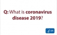 COVID-19: What is novel coronavirus?